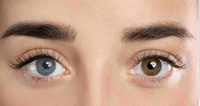 Reusable coloured contact lenses