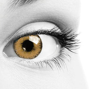 Soleko ONE - Choco (Daily) Colour Contact Lenses