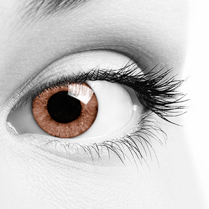 Soleko Oros - Sweet Brown (Monthly) Colour Contact Lenses