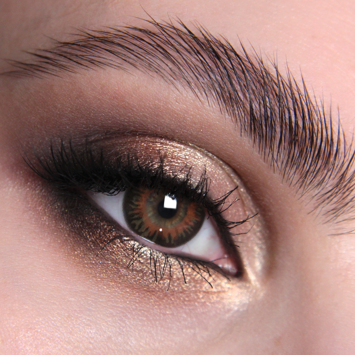 Brown contacts