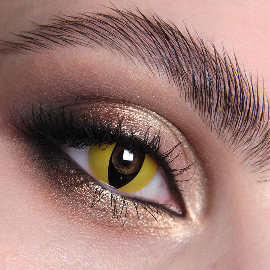 Halloween contact lenses