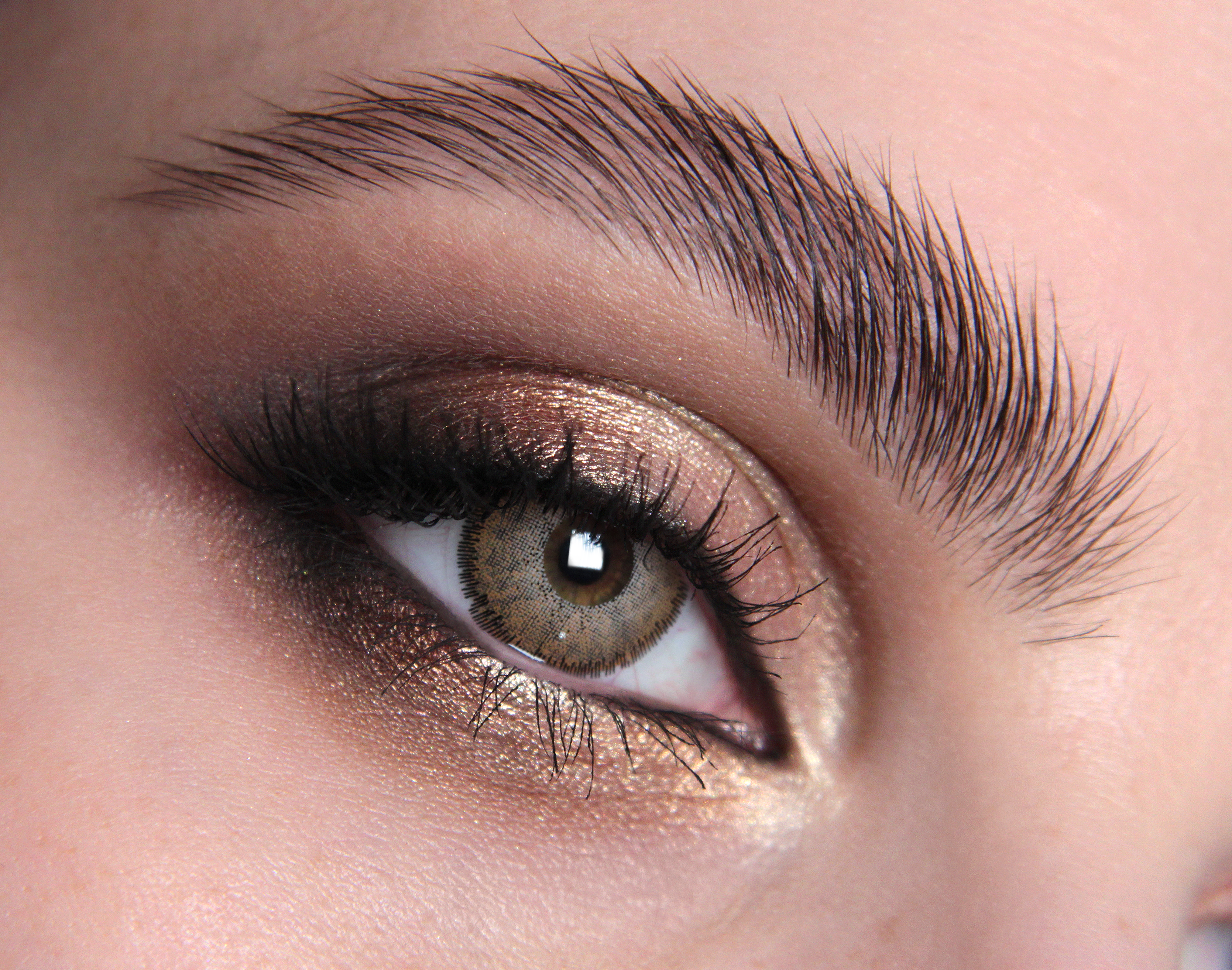 Autumn Mist Natural Brown Coloured Contact Lenses