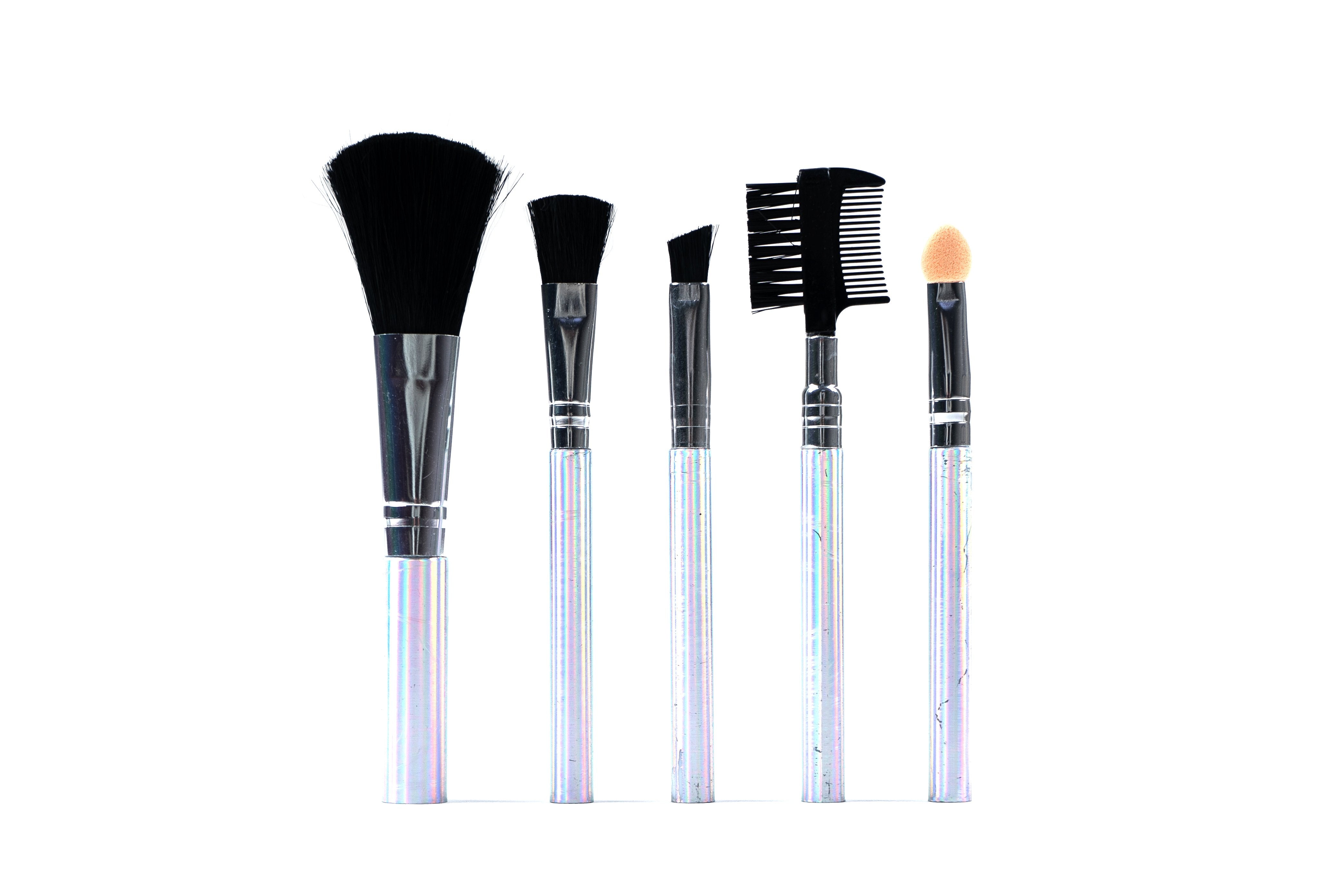 Makeup Brushes (Set of 5) 