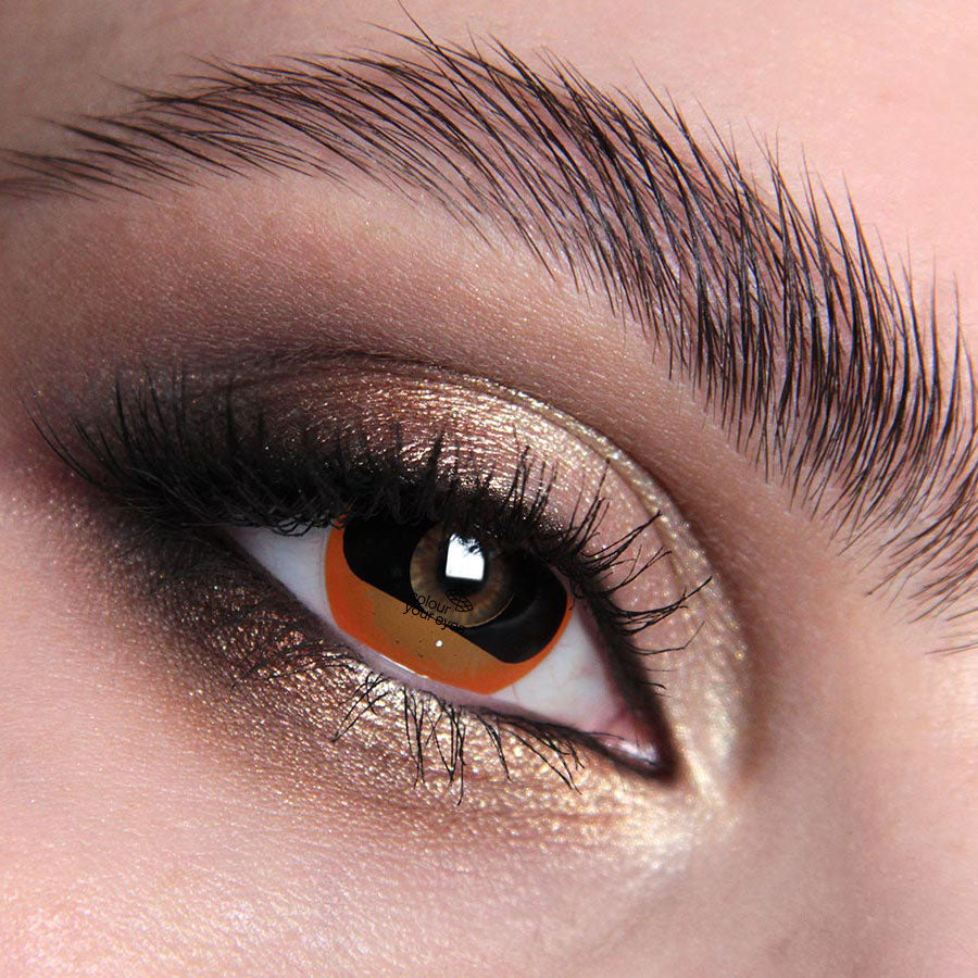 Goat Colour Contact Lenses
