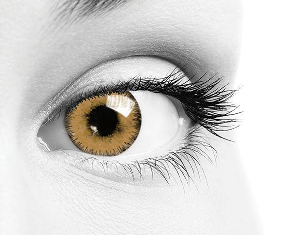 Soleko ONE - Choco (Daily) Colour Contact Lenses