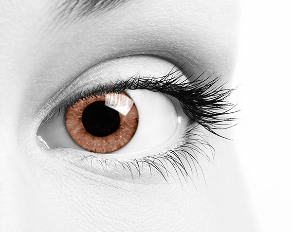 Soleko Oros - Sweet Brown (Monthly) Colour Contact Lenses