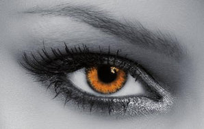 Soleko Trilogy - Amber (Monthly) Colour Contact Lenses