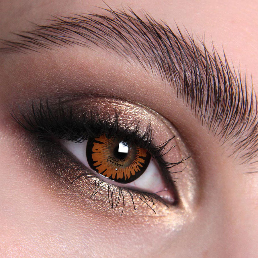 Twilight Bella Colour Contact Lenses
