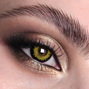 Wolf Colour Contact Lenses