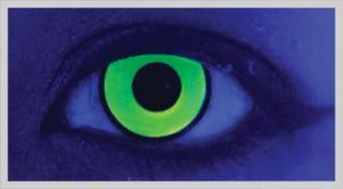Eggi Weg Green Colour Contact Lenses