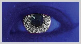 Gezae Grey Colour Contact Lenses