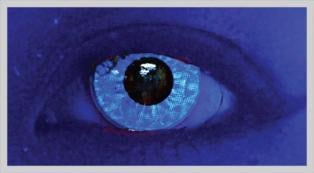 M Ran Blue Colour Contact Lenses