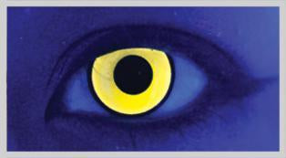 Mal Chick Yellow Colour Contact Lenses