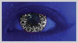 Saf Black Colour Contact Lenses