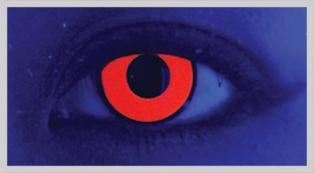 Vino Red Colour Contact Lenses