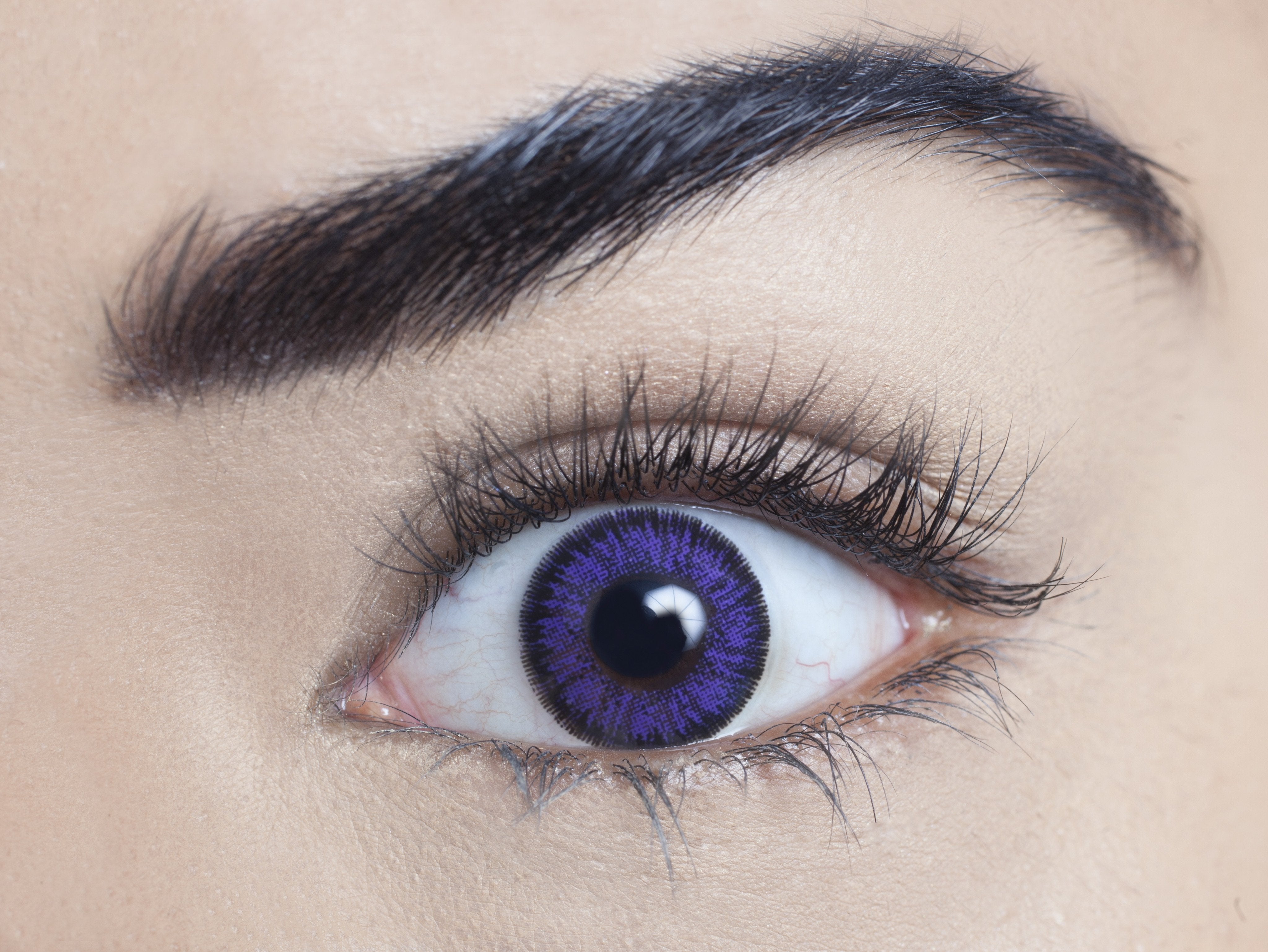 Violet - 1 Day Colour Contact Lenses